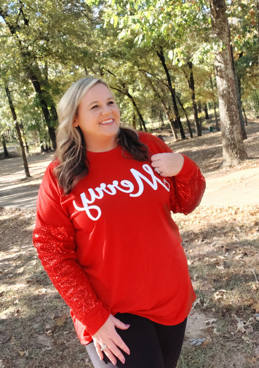 Christmas sequin sleeve top