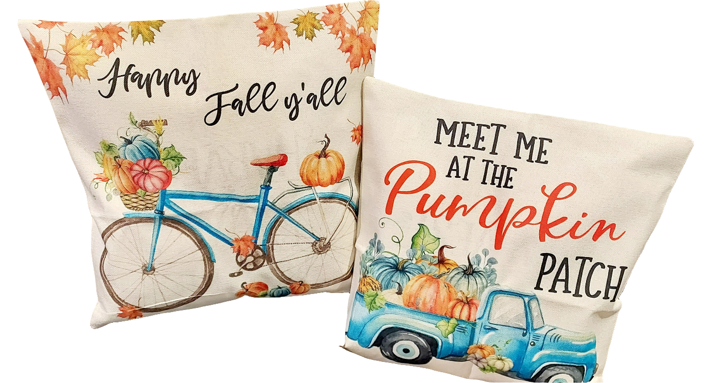 Set of 2 pillow covers